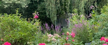 Event-Image for 'Traumwelten &ndash; Rundgang: Traumgarten bis  Garten-Albtr&auml;ume'