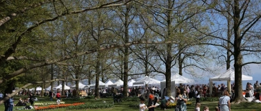 Event-Image for '80 Potiers dans les tulipes'