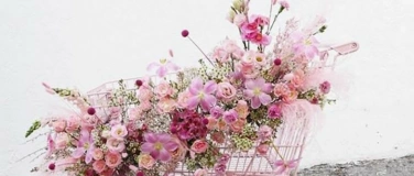 Event-Image for 'Blossom & Brushes- Cocktail & Paint'