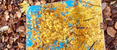 Event-Image for 'Gesundheitsförderung und Stressbewältigung in der Natur'
