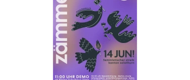 Event-Image for 'Feministischer Streik Kanton Solothurn'