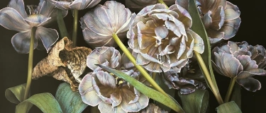 Event-Image for 'Vernissage: J&uuml;rgen Birchler  -  Voyage Floral'