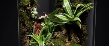 Event-Image for 'Workshop: Terrarium mit R&uuml;ckwand'