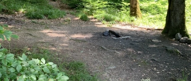 Event-Image for 'Waldbaden- Medicine Walk'