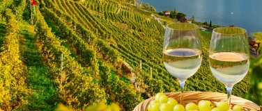 Event-Image for 'Wine Hike Lavaux'