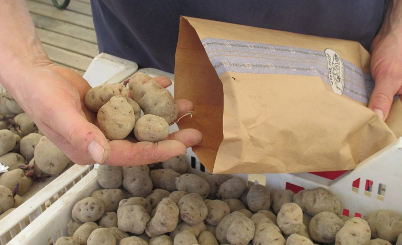 Event-Image for 'Pflanzkartoffel- und Osterm&auml;rit'