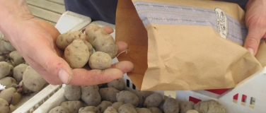 Event-Image for 'Pflanzkartoffel- und Osterm&auml;rit'