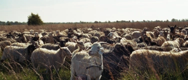 Event-Image for 'Feierabend im Jardelunder Moor'