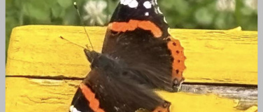 Event-Image for 'Im Scheinwerferlicht - Auftrittt &uuml;ben'