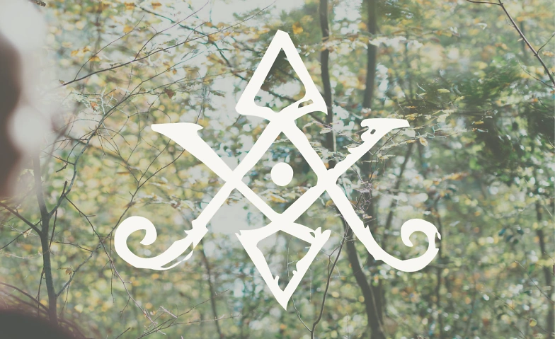 Event-Image for 'Im Wald Sein'