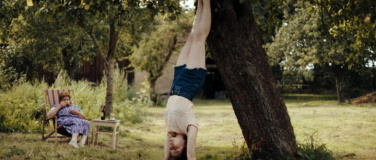 Event-Image for 'In die Sonne schauen (Sound of Falling)'