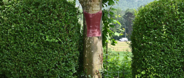 Event-Image for 'innen und aussen II: In der Ausstellung mit Hans-Jörg Rheinb'