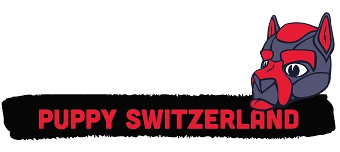Organisateur de Puppy Switzerland Election 28.3.2026 inklusive Wahl