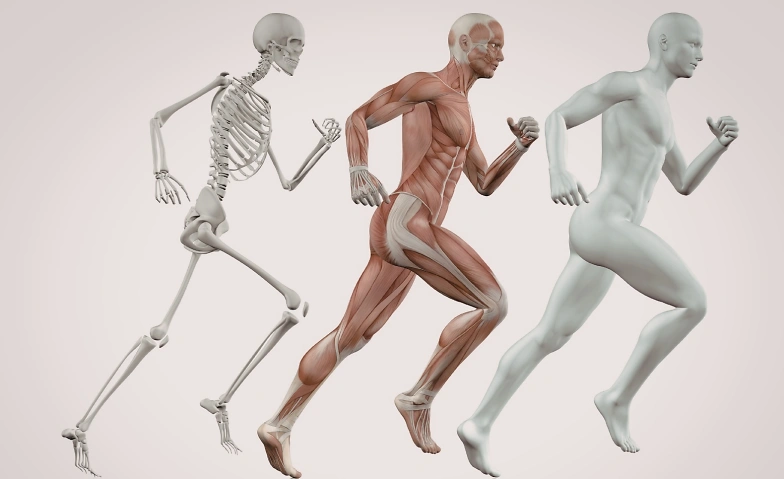 Event-Image for 'intelligent bewegen'