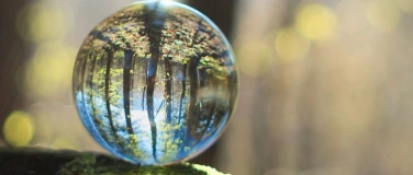 Event-Image for 'Intuitions-Training  / &Uuml;bungsabend f&uuml;r deine Wahrnehmung'