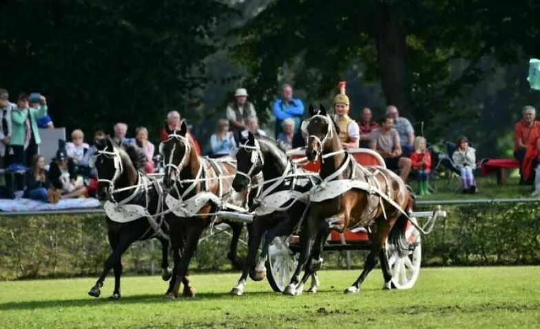 Neustädter Hengstparade 2024 Paradeplatz des Landgestütes Billets