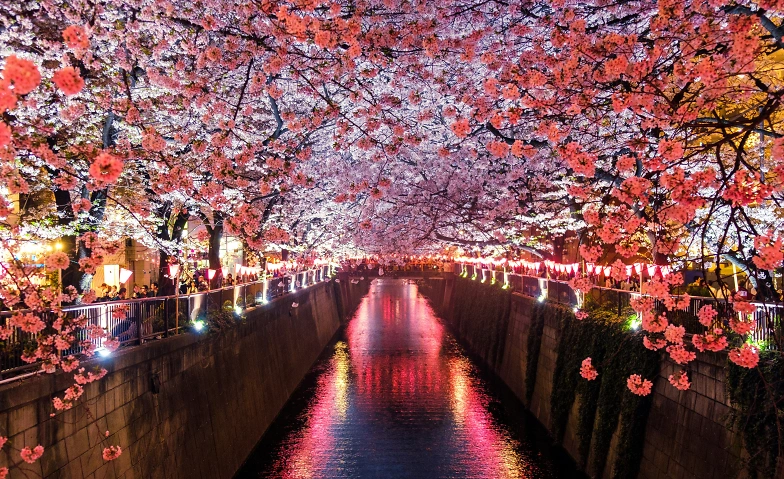 Japanisch schnuppern: Sprache &amp; Schrift Billets