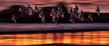 Event-Image for 'Exposition de photographies - Vernissage public'
