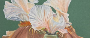 Event-Image for 'Joy Schmidt Art - Raumnahme'