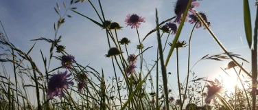 Event-Image for 'Regenerative Bites x Jucker Farm'