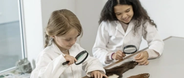 Event-Image for 'Jugendlabor «Überwintern: tierisch gute Tricks»'