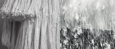 Event-Image for 'WALK & TALK UND BUCHVERNISSAGE MIT JULIA STEINER'