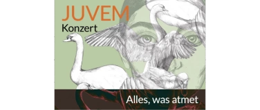 Event-Image for 'JUVEM Konzert'