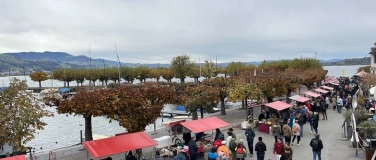 Event-Image for 'cheese-festival Rapperswil'