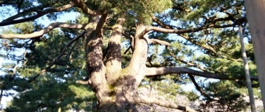 Event-Image for 'Erz&auml;hlabend im Claquekeller'