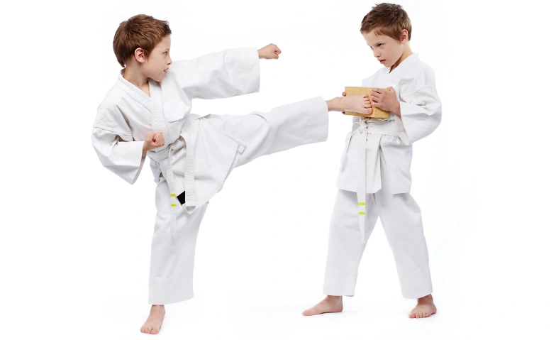 Karate 1.- 7. Klasse  - Herbstsportwoche 2025 Tickets