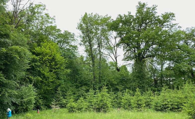 Event-Image for 'Geomantie Engehalbinsel'