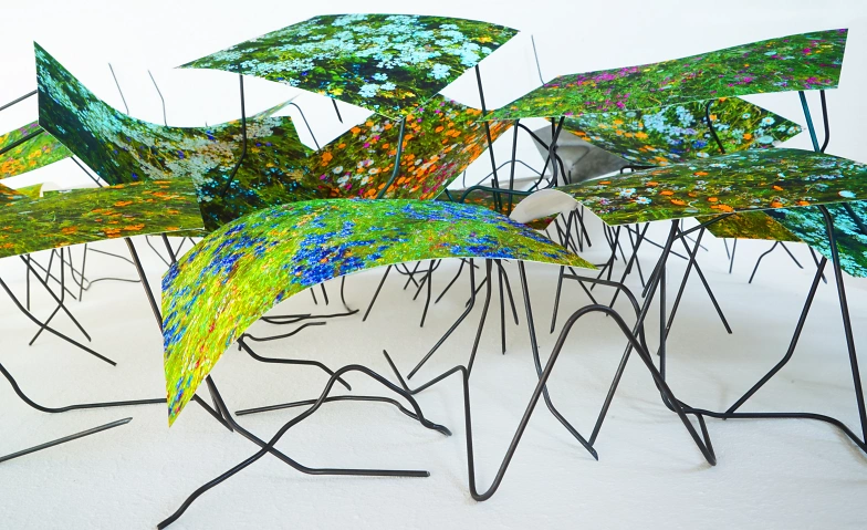 Event-Image for 'Markus Reich, Unendliche Ferne der Blumenwelt'