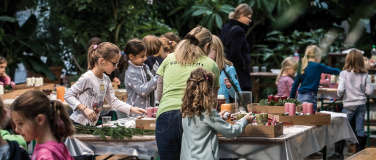 Event-Image for 'Kreativkurs Adventsfloristik für Kinder ab 5 Jahren'