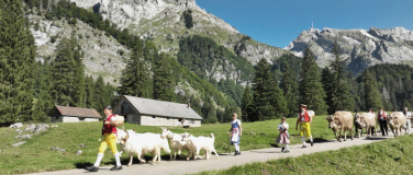 Event-Image for 'Klangkino Film & Vortrag mit Peter Roth zu Handwerk und Intu'