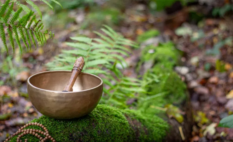 Offener Abend im Buddhistisches Zentrum Arnsberg Buddhistisches Zentrum Arnsberg, Sunderner Straße 25, 59821 Arnsberg Billets