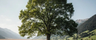 Event-Image for 'Politapéro'