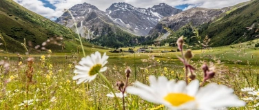 Event-Image for 'Akasha Chronik Retreat Klosters'
