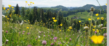 Event-Image for 'Kloster & Natur'