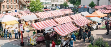 Event-Image for '12. Entlebucher Kräuter- und Wildpflanzenmarkt'