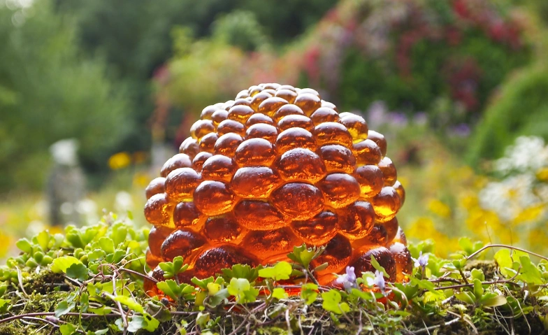 Event-Image for 'Micha Aregger in der Kobesenm&uuml;hle'