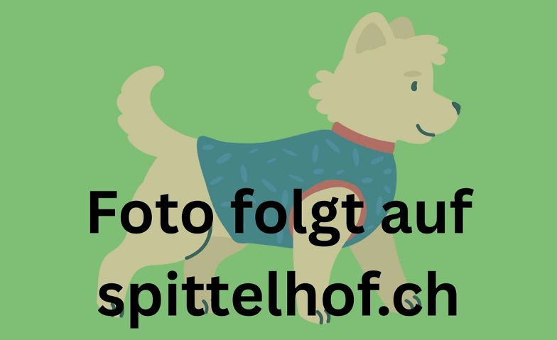 Event-Image for 'Nähkurs: Hundemantel'