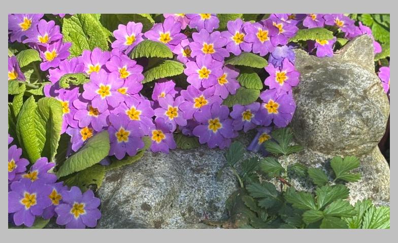 Event-Image for 'Kreatives Schreiben: Wege, Worte, Wunder'