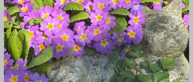 Event-Image for 'Kreatives Schreiben: Wege, Worte, Wunder'