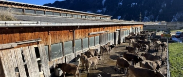 Event-Image for 'Vortrag: 175 Jahre Bündner Bauernverband'