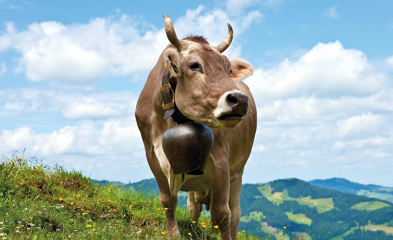 Event-Image for 'Meditation bei Weidegeläut vom Zugerberg'