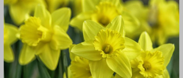 Event-Image for 'Kulinarischer Event am Ostersonntag'