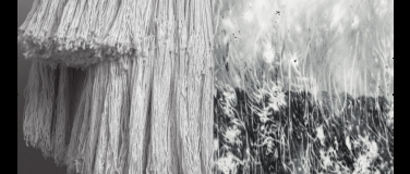 Event-Image for 'Kunst & Stift  Julia Steiner. Konstellationen.'