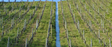 Event-Image for 'Kunst und Spiritualit&auml;t im Dialog'