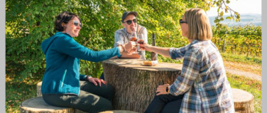Event-Image for 'Kunst & Wein am Iselisberg'