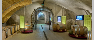 Event-Image for 'Kuratorenf&uuml;hrung &laquo;2000 Jahre Wein auf Arenenberg&raquo;'